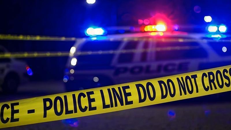 dreamstime s 369484582